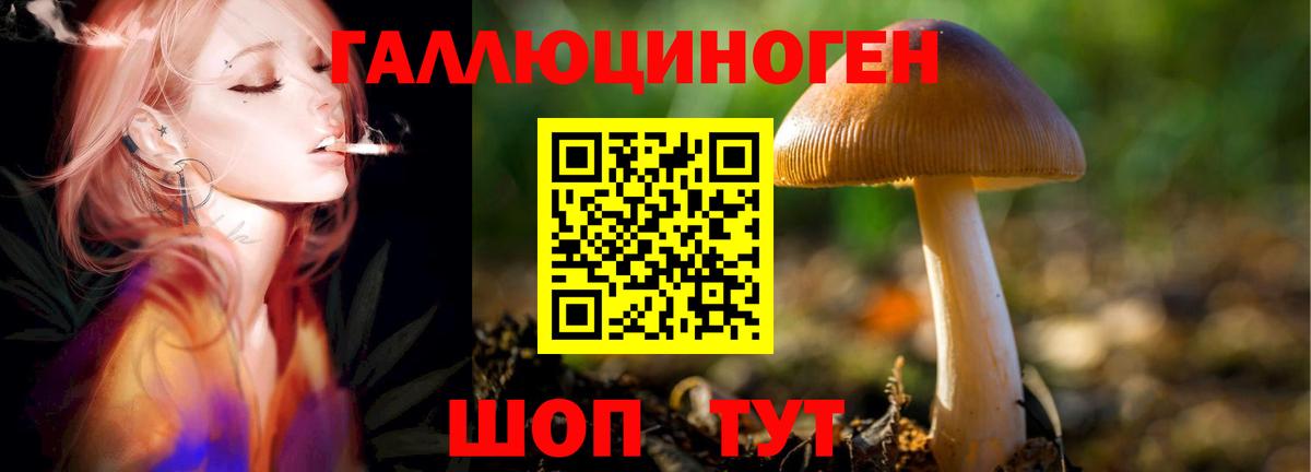 Куйбышев  Галлюциногенные грибы прущие грибы  наркотики  Вход с VPN 